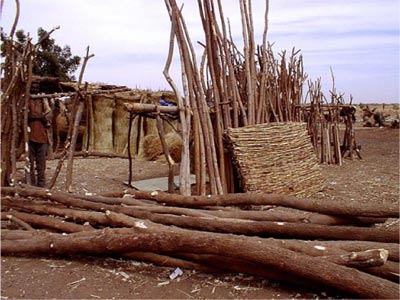 timber used for resale
